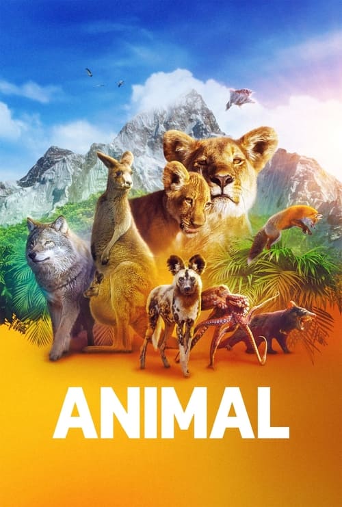 Animal : 2.Sezon 1.Bölüm