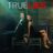 True Lies : 1.Sezon 1.Bölüm izle