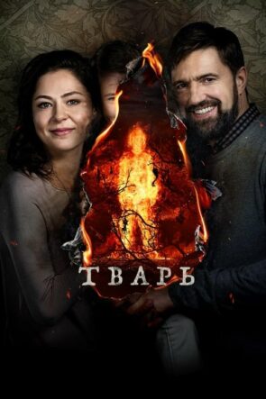 시동 (2019)