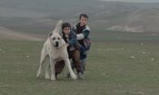 Sivas (2014)