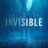 Invisible : 1.Sezon 1.Bölüm izle