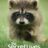The Secret Lives of Animals : 1.Sezon 3.Bölüm izle