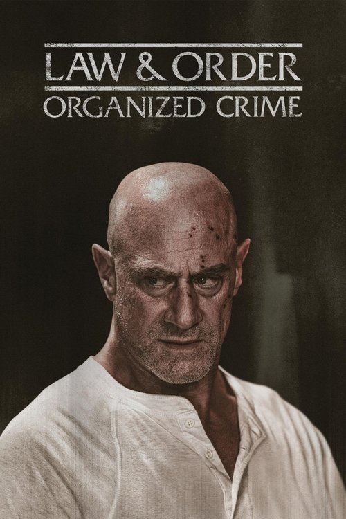 Law & Order Organized Crime : 5.Sezon 10.Bölüm