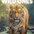 The Wild Ones : 1.Sezon 5.Bölüm izle