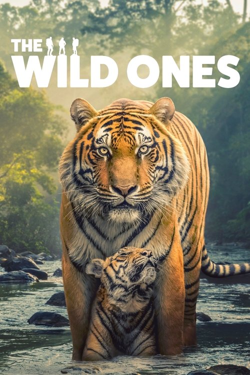 The Wild Ones : 1.Sezon 5.Bölüm